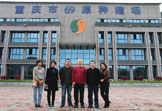 國(guó)家生豬產(chǎn)業(yè)技術(shù)體系首席科學(xué)家陳瑤生教授、壹號(hào)土豬總裁黎小兵蒞臨69指導(dǎo)交流