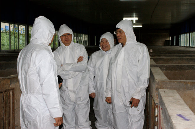 國(guó)家生豬遺傳改良計(jì)劃專家組《李加棋、王金勇》到重慶69指導(dǎo)工作